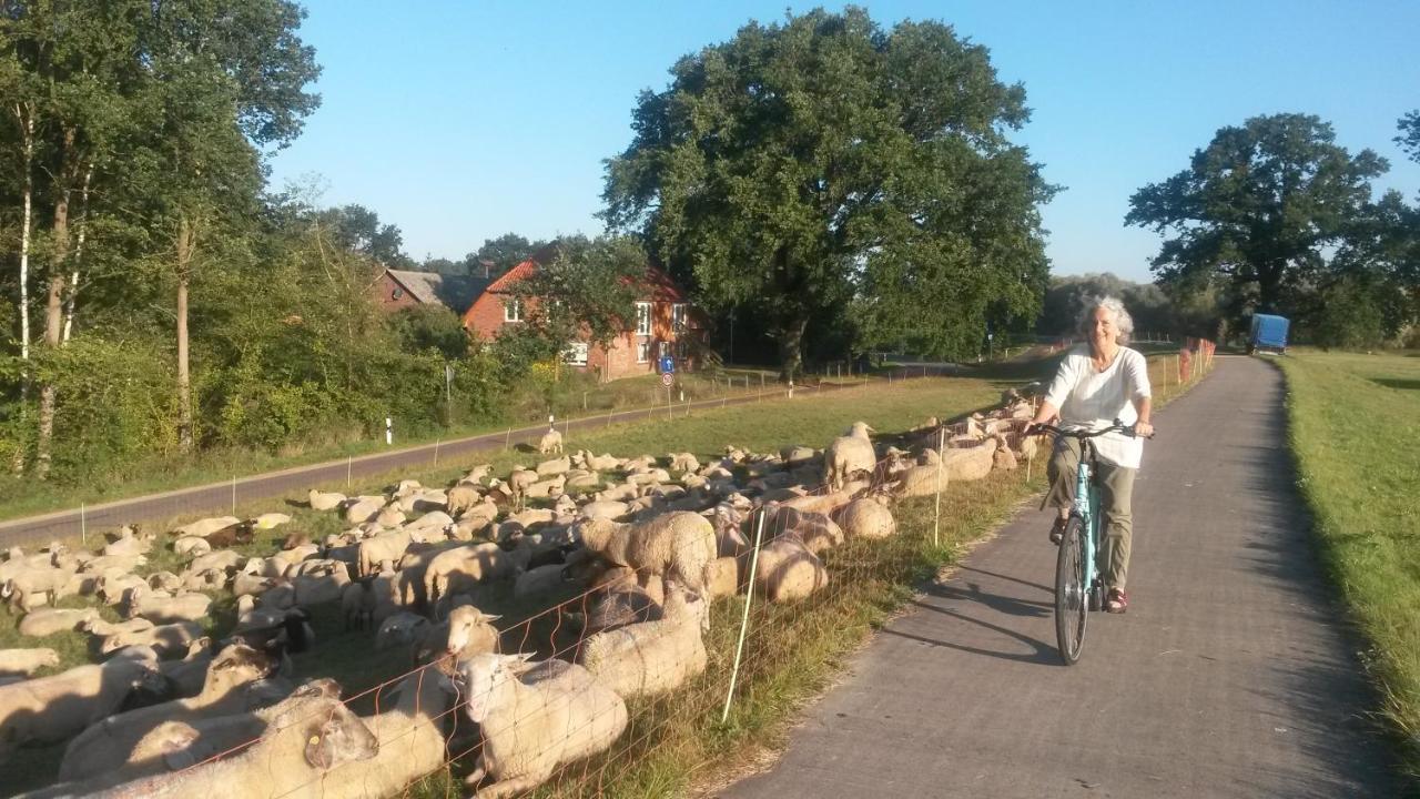 Schillers Stadthaus Hitzacker Zewnętrze zdjęcie